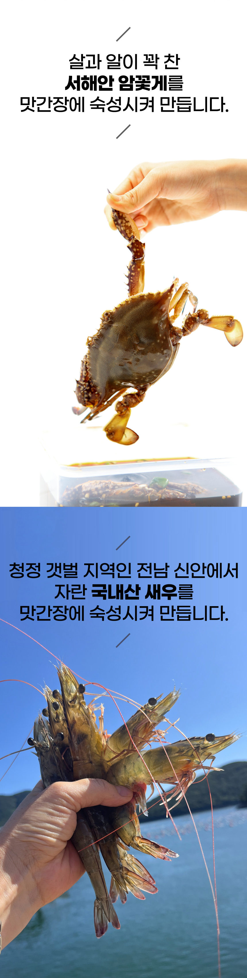 crb_cs_260608_6.jpg