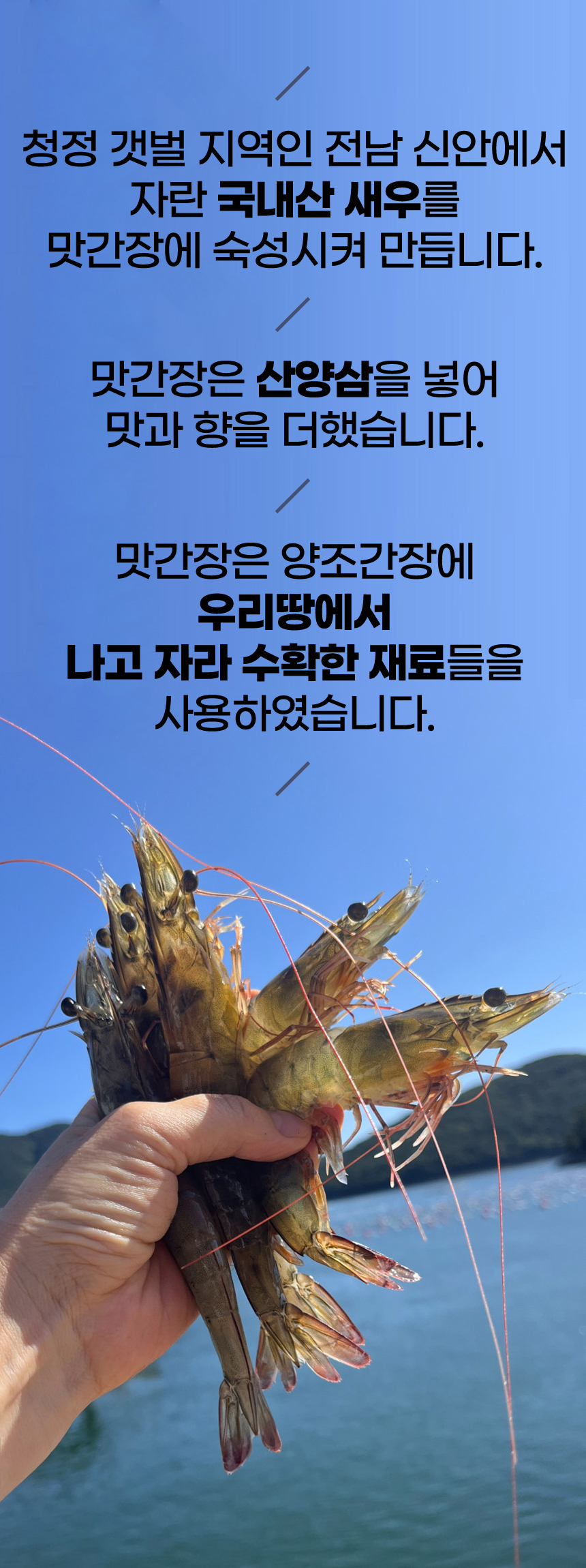 crb_sh_260608_6.jpg